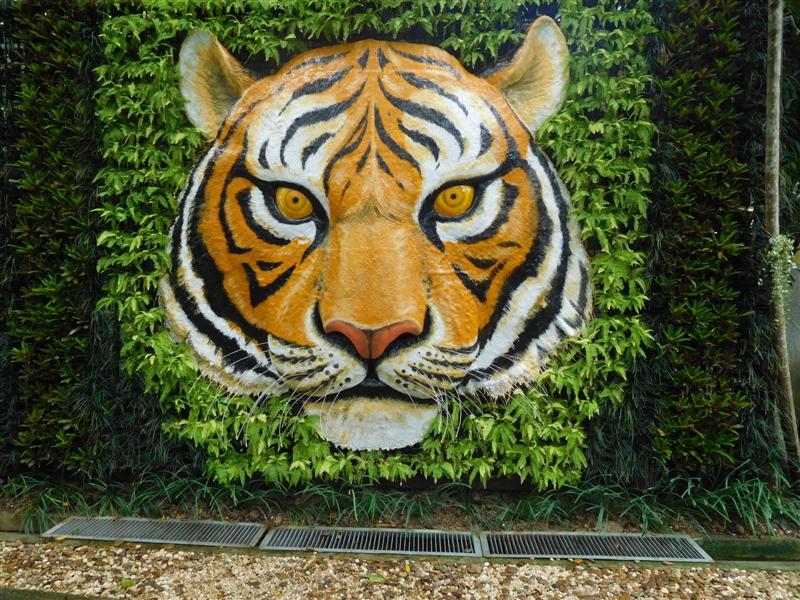 Tiger Kingdom Sign
