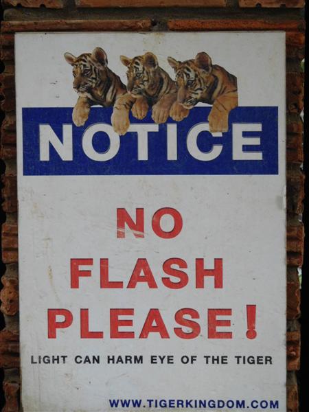 No Camera Flash No Camera Flash