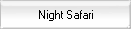 Night Safari