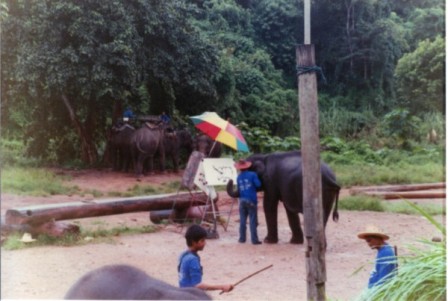 Chiang Mai Elephant Artist Chiang Mai Elephant Artist