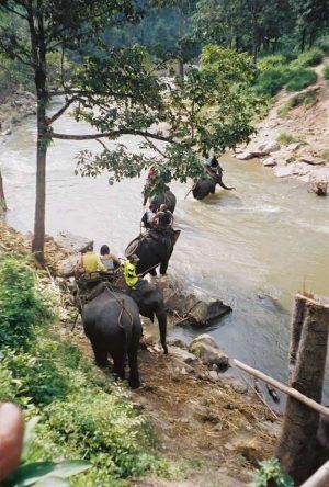 Chiang Mai Elephant Ride