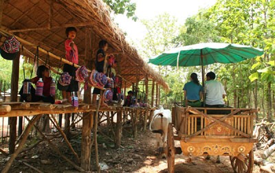 Chiang Mai Ox Cart Ride