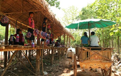 Chiang Mai Ox Cart Ride Chiang Mai Ox Cart Ride